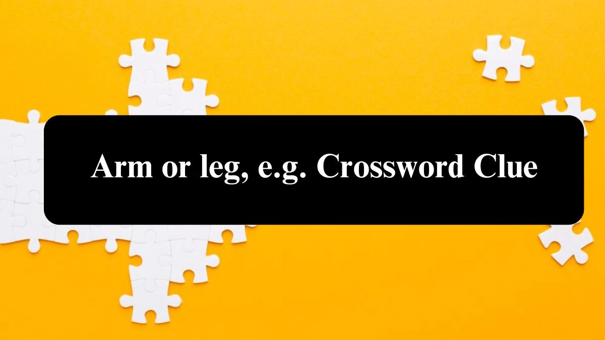 Daily Themed Arm or leg, e.g. Crossword Clue Puzzle Answer from August 02, 2024