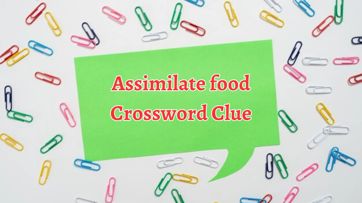 Irish Daily Mail Quick Assimilate food Crossword Clue Puzzle Answer from August 26, 2024