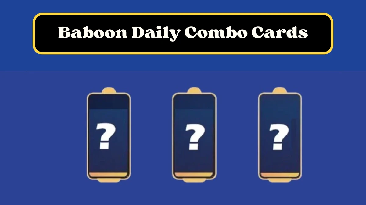 Baboon Daily Combo August 01 2024