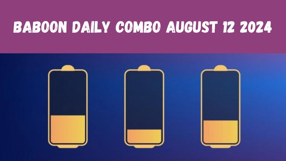 Baboon Daily Combo August 12 2024