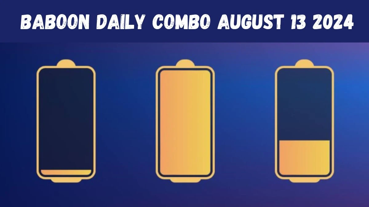 Baboon Daily Combo August 13 2024