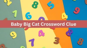 Universal Baby Big Cat Crossword Clue Puzzle Answer from August 01, 2024