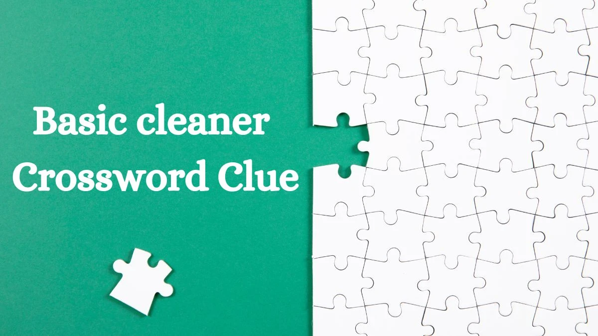 Basic cleaner NYT Crossword Clue Puzzle Answer from August 29, 2024