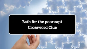 Bath for the poor sap? Crossword Clue Puzzle Answer from August 28, 2024