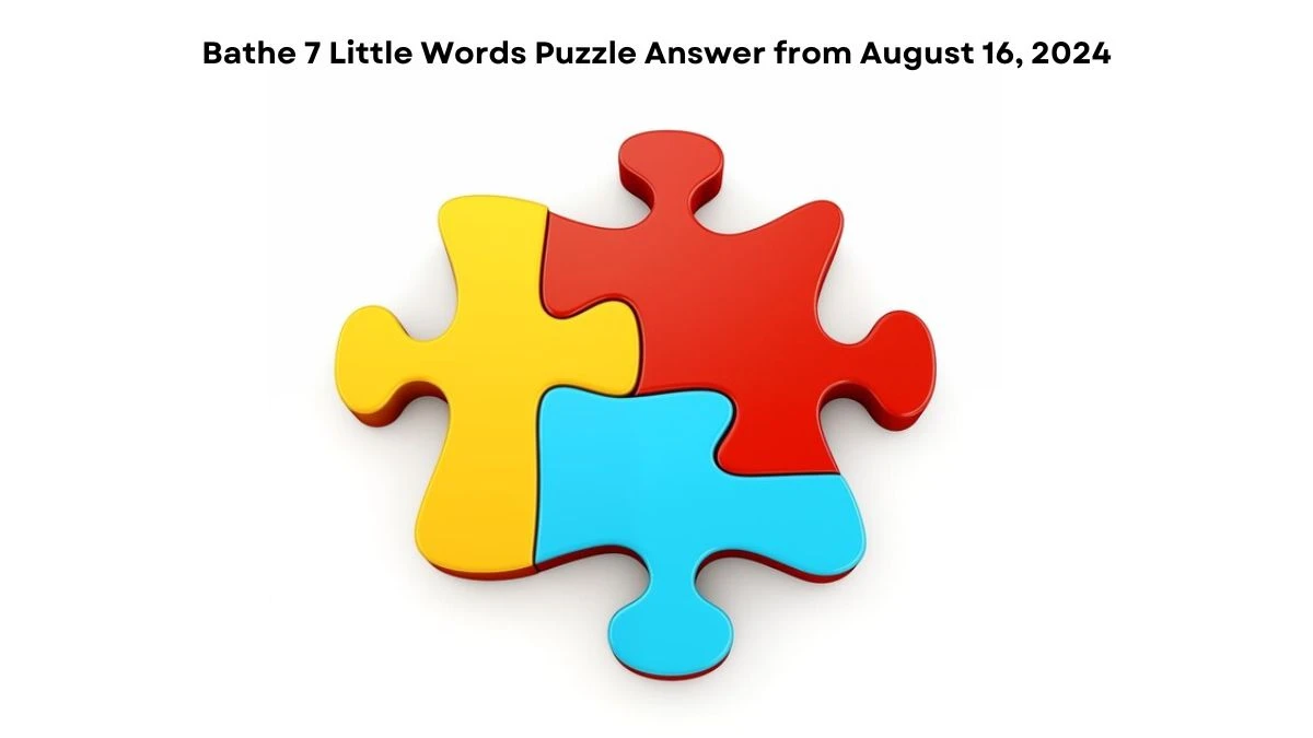 Bathe 7 Little Words Puzzle Answer from August 16, 2024