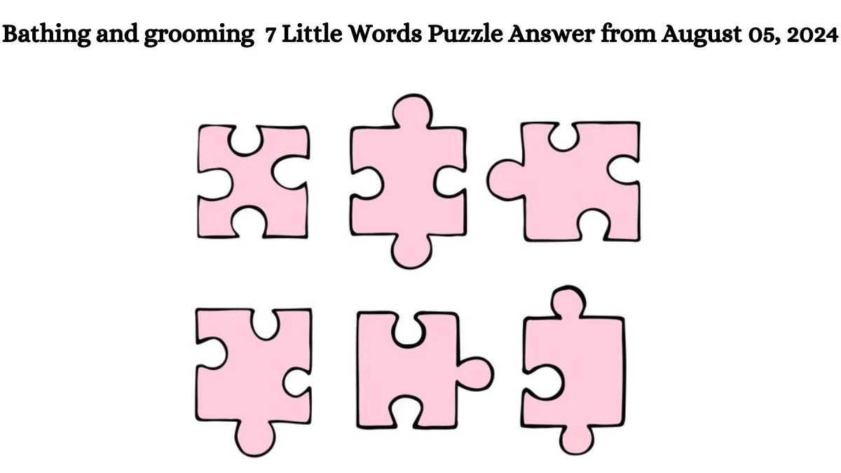 Bathing and grooming 7 Little Words Puzzle Answer from August 05, 2024