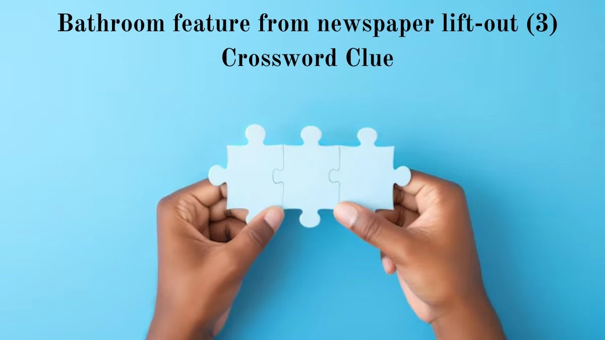 Bathroom feature from newspaper lift-out (3) Crossword Clue Puzzle Answer from August 06, 2024