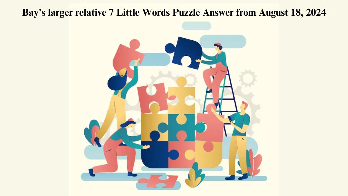 Bay's larger relative 7 Little Words Puzzle Answer from August 18, 2024