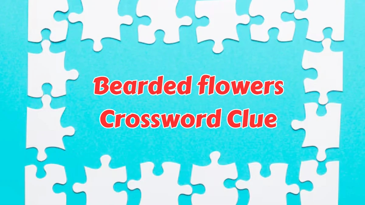 Bearded flowers Daily Commuter Crossword Clue Puzzle Answer from August 08, 2024