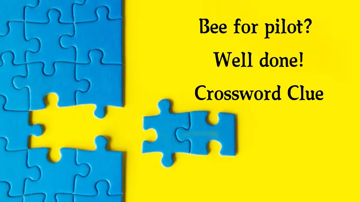 Bee for pilot? Well done! (5) Crossword Clue Answers on August 07, 2024