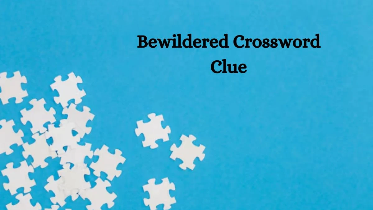 Bewildered Puzzle Page Crossword Clue Answer from August 05, 2024