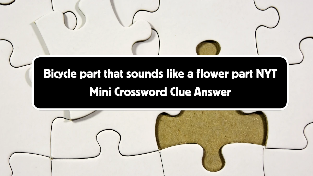 Bicycle part that sounds like a flower part NYT Crossword Clue