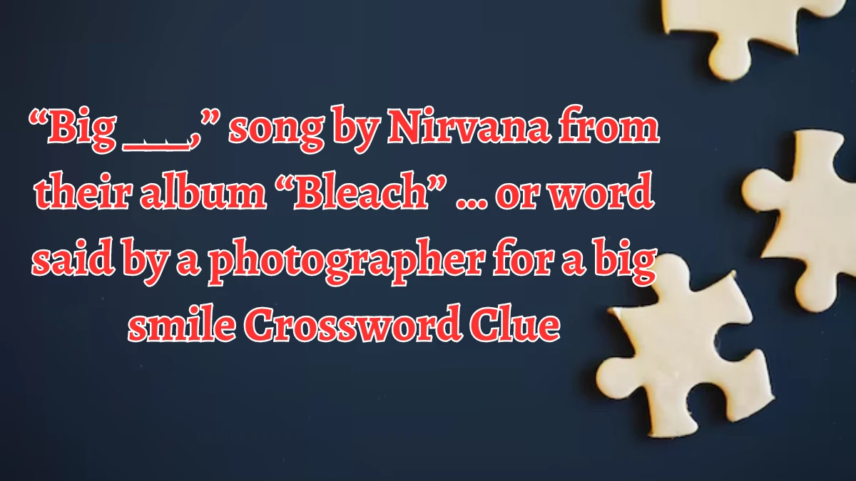 “Big ___,” song by Nirvana from their album “Bleach” … or word said by a photographer for a big smile Daily Themed Crossword Clue Puzzle Answer from August 19, 2024