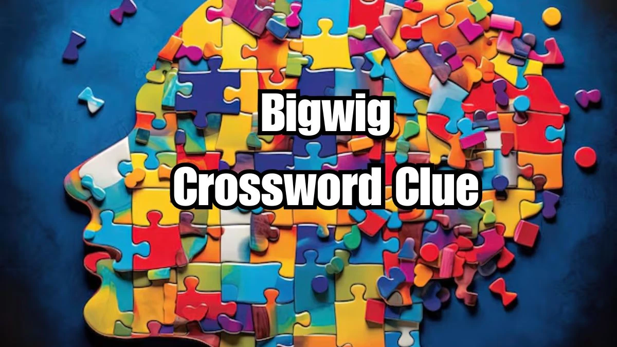 Bigwig NYT Crossword Clue Puzzle Answer on August 14, 2024