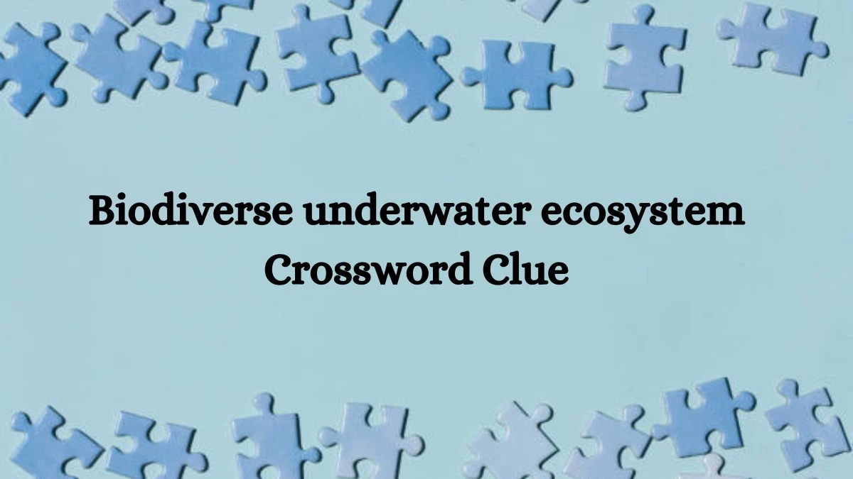 NYT Biodiverse underwater ecosystem Crossword Clue Puzzle Answer from August 21, 2024