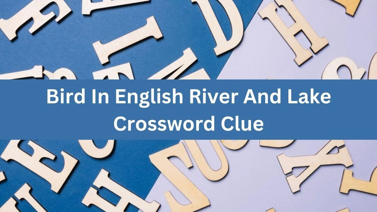 Bird In English River And Lake Crossword Clue Puzzle Answer from August 09, 2024