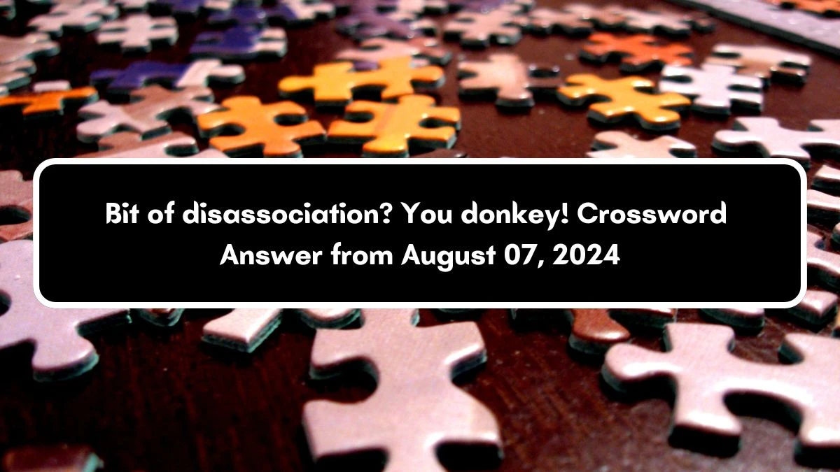 Bit of disassociation? You donkey! Crossword Clue Answers on August 07, 2024