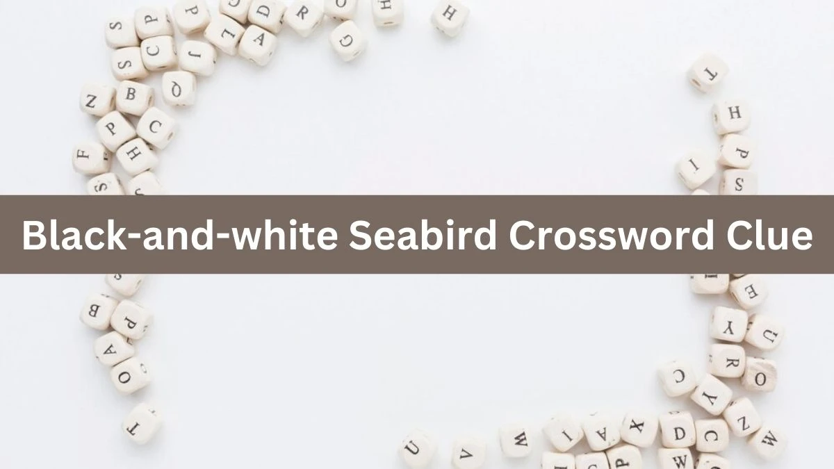 Universal Black-and-white Seabird Crossword Clue Puzzle Answer from August 03, 2024