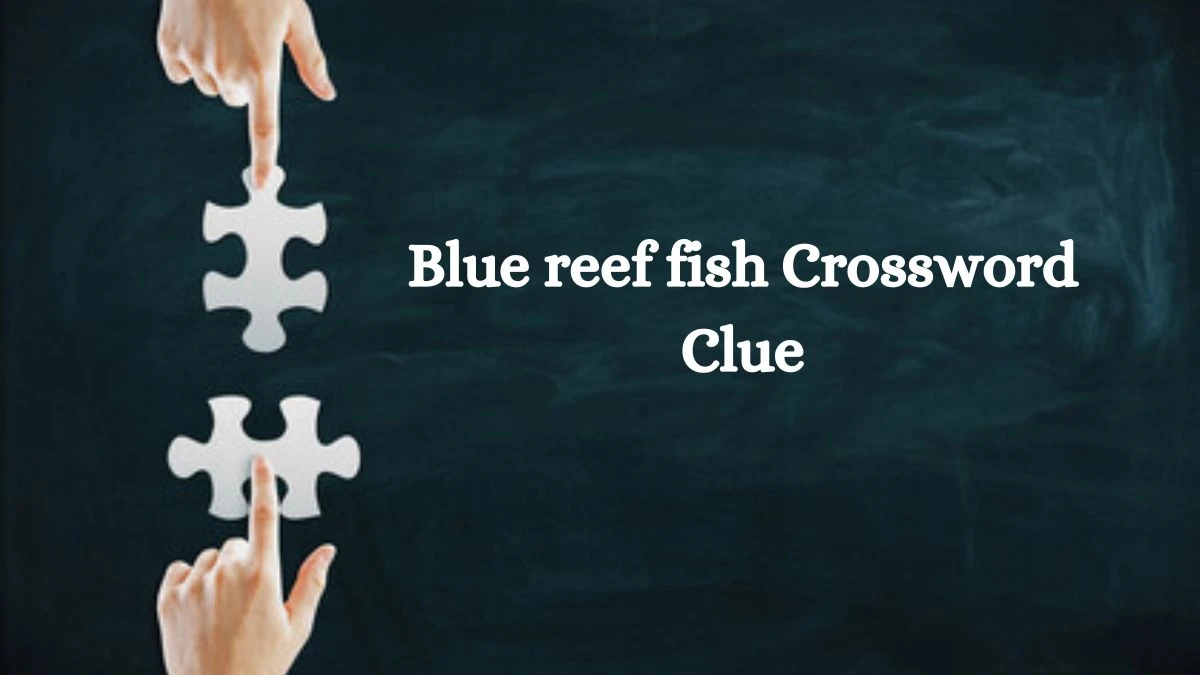 NYT Blue reef fish Crossword Clue Puzzle Answer from August 22, 2024