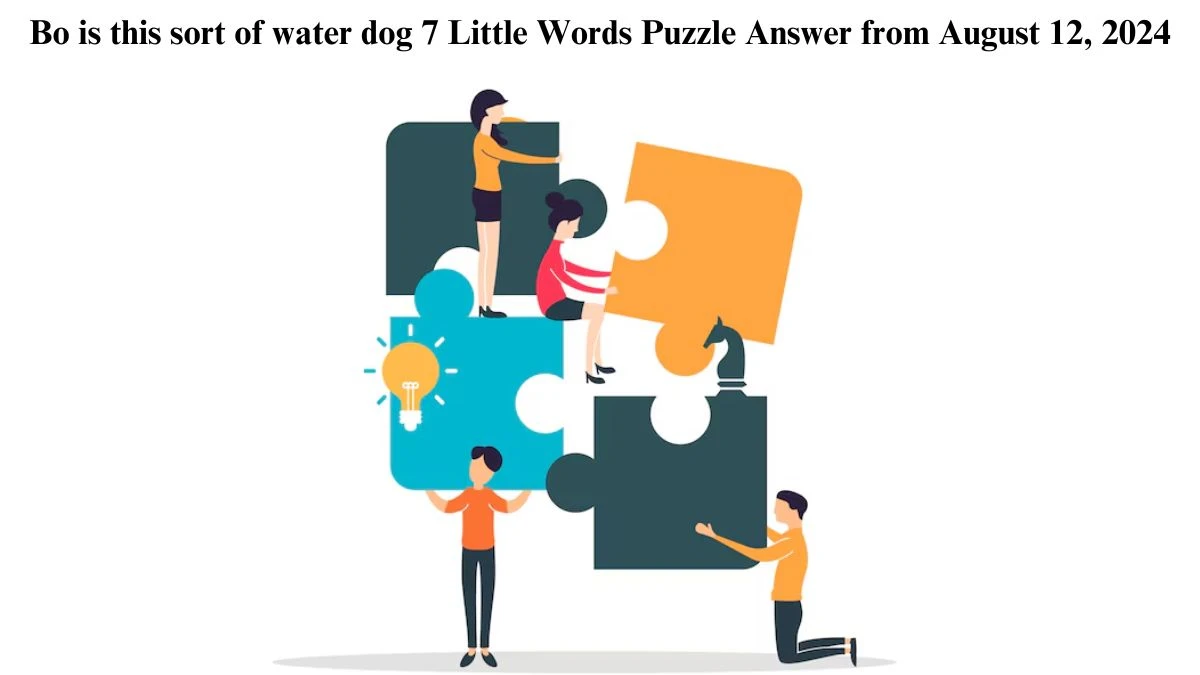 Bo is this sort of water dog 7 Little Words Puzzle Answer from August 12, 2024