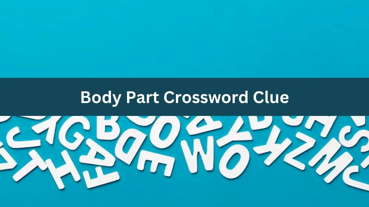 Body Part 4 Letters Crossword Clue Puzzle Answer from August 04, 2024