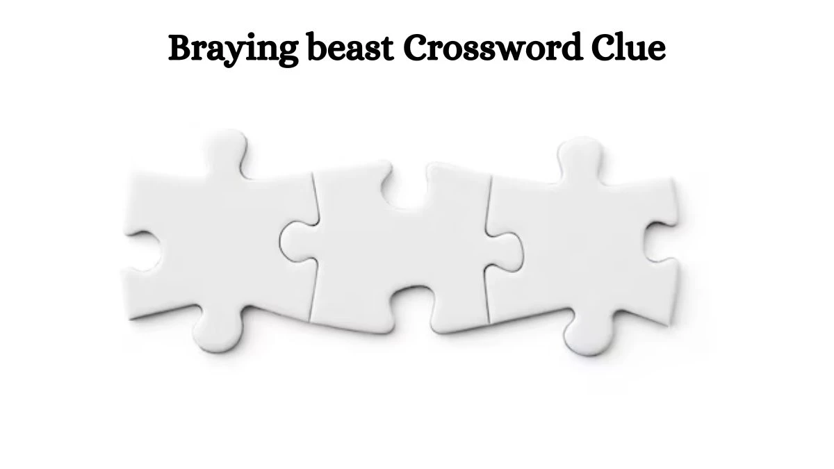 Braying beast Universal Crossword Clue Puzzle Answer from August 03, 2024