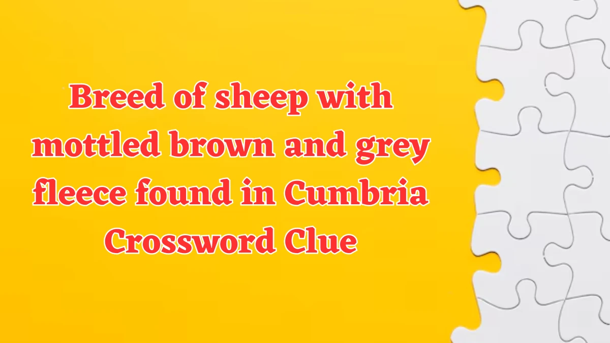 Breed of sheep with mottled brown and grey fleece found in Cumbria Crossword Clue Puzzle Answer from August 07, 2024