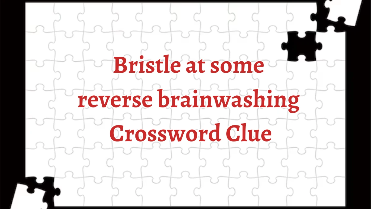 Bristle at some reverse brainwashing Crossword Clue Puzzle Answer from August 30, 2024