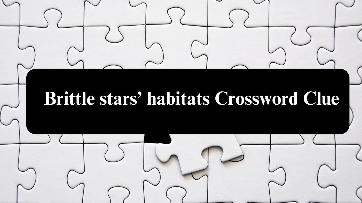 USA Today Brittle stars’ habitats Crossword Clue Puzzle Answer from August 05, 2024