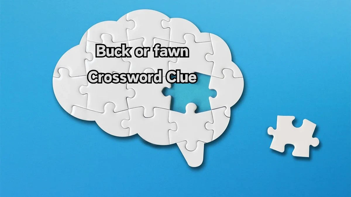 USA Today Buck or fawn Crossword Clue Puzzle Answer from August 10, 2024