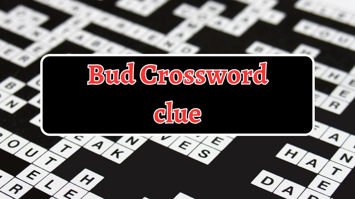 NYT Bud Crossword Clue Puzzle Answer from August 20, 2024