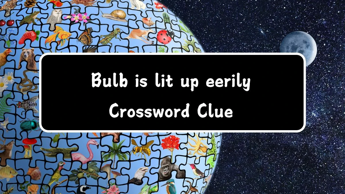 Bulb is lit up eerily Crossword Clue Puzzle Answer from August 03, 2024