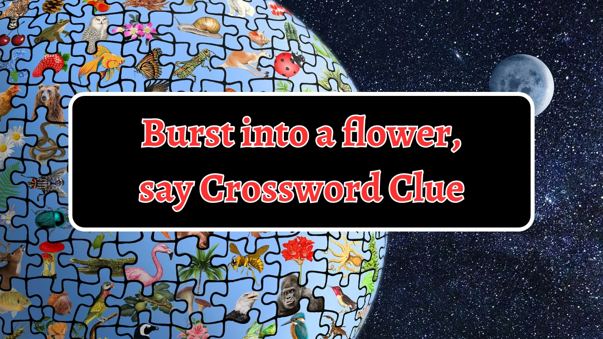 Burst into a flower, say Crossword Clue Daily Themed 5 Letters Puzzle Answer from August 13, 2024