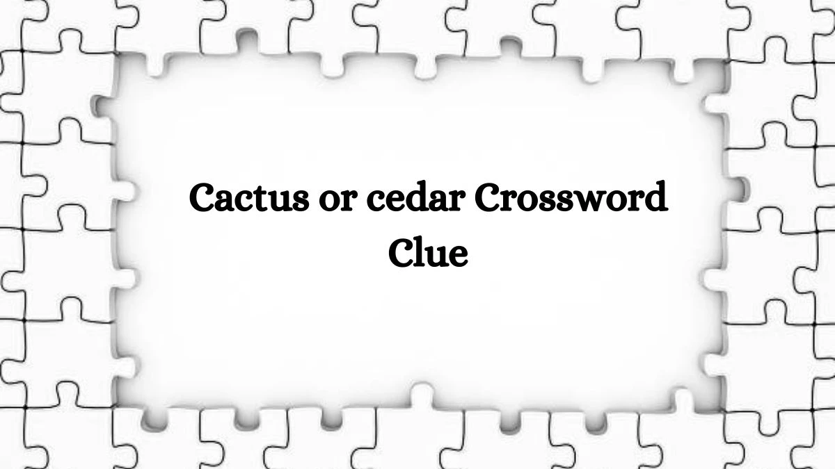 USA Today Cactus or cedar Crossword Clue Puzzle Answer from August 07, 2024