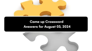 Came up Daily Commuter Crossword Clue Puzzle Answer from August 03, 2024