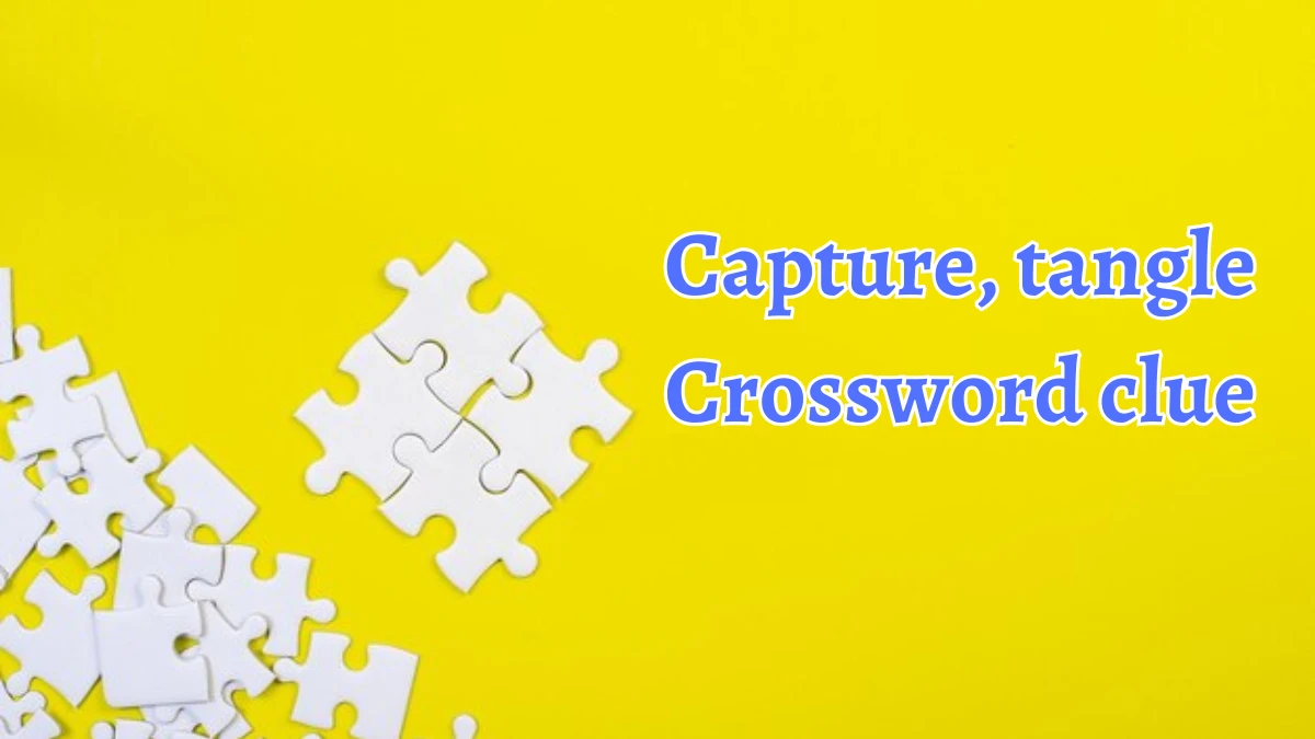 Capture, tangle Puzzle Page Crossword Clue Answer from August 20, 2024