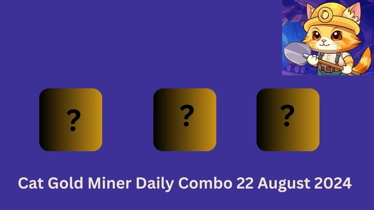 Cat Gold Miner Daily Combo 22 August 2024