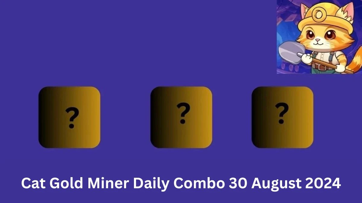 Cat Gold Miner Daily Combo 30 August 2024