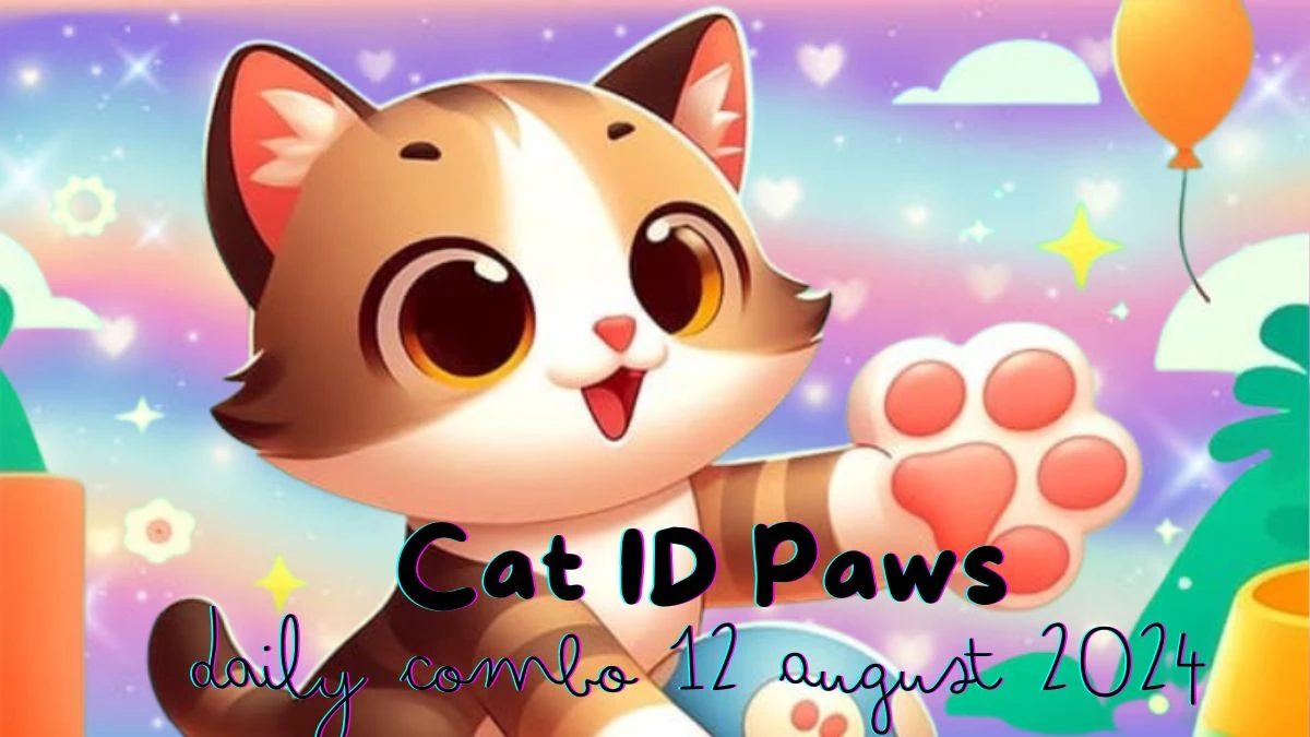 Cat ID Paws Daily Combo 12 August 2024 - Answer Unveiled!