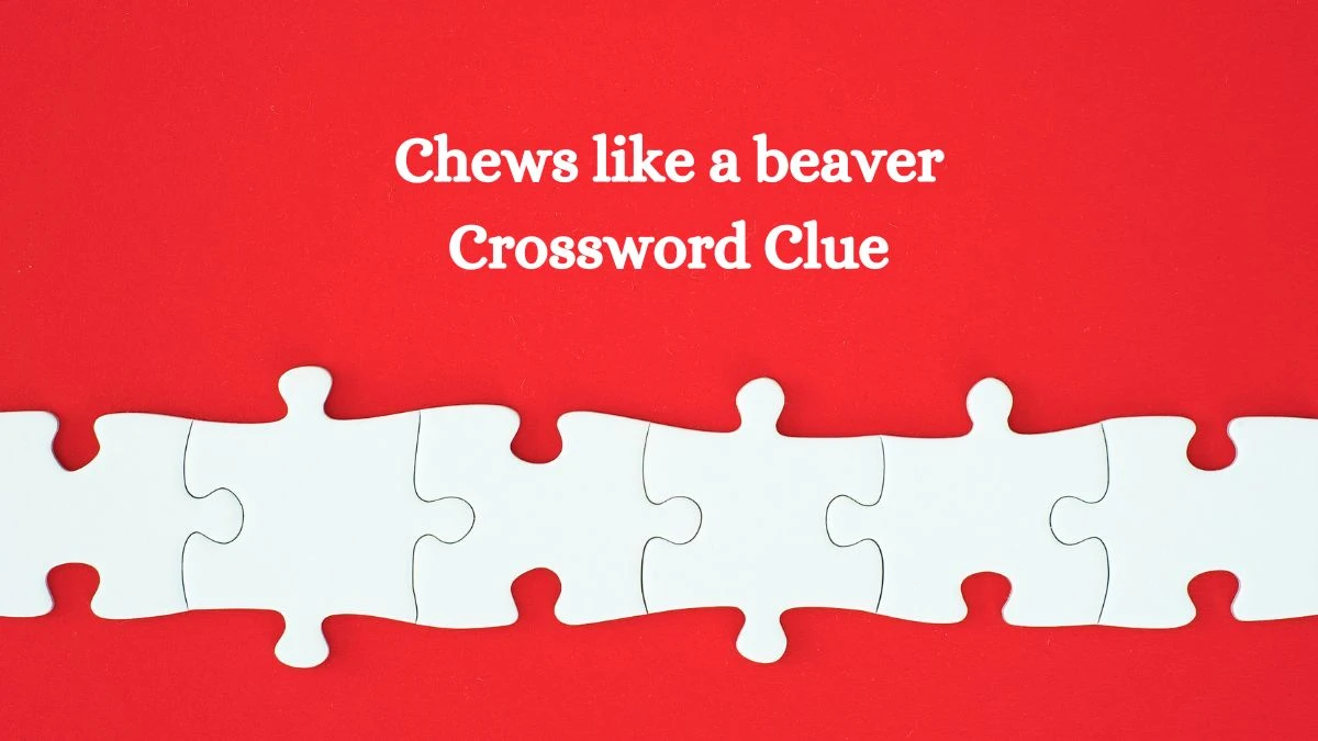 USA Today Chews like a beaver Crossword Clue Puzzle Answer from August 02, 2024