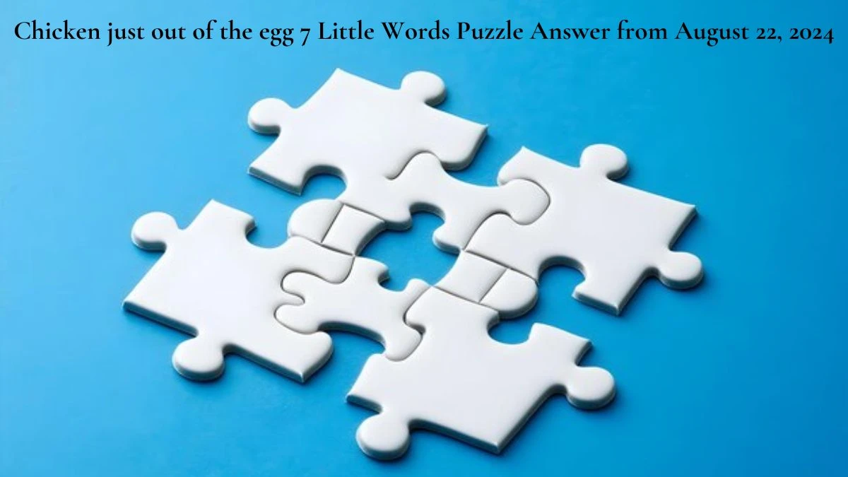 Chicken just out of the egg 7 Little Words Puzzle Answer from August 22, 2024