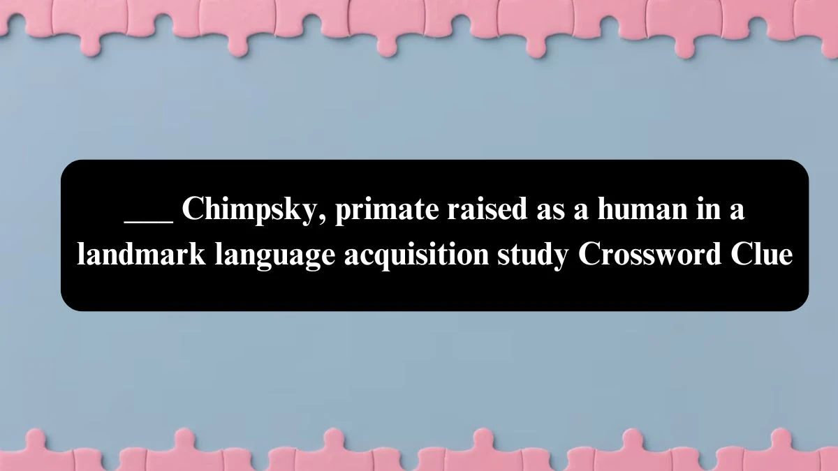 NYT ___ Chimpsky, primate raised as a human in a landmark language