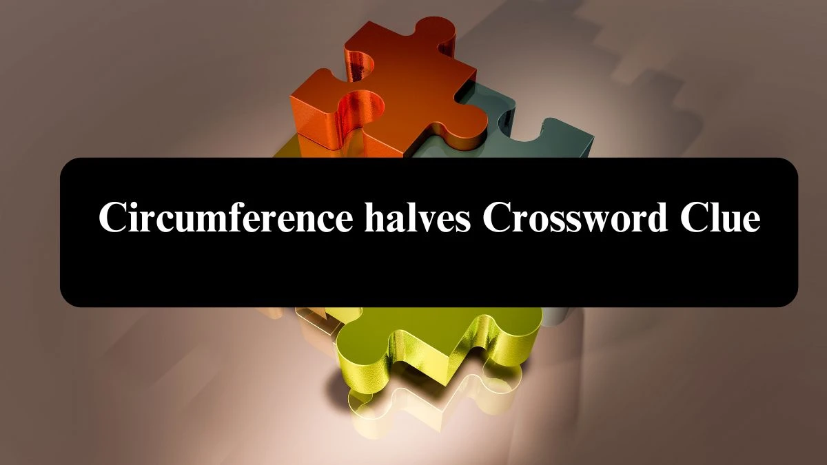 Circumference halves Crossword Clue Puzzle Answer from August 05, 2024