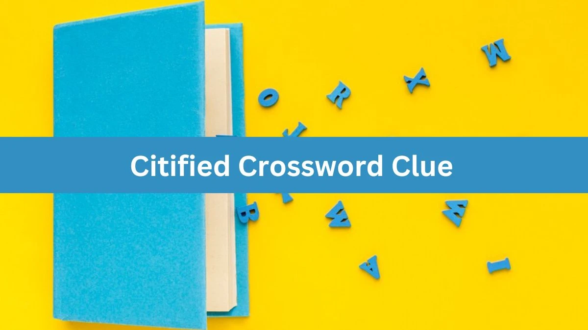 Daily Commuter Citified Crossword Clue 5 Letters Puzzle Answer from August 08, 2024