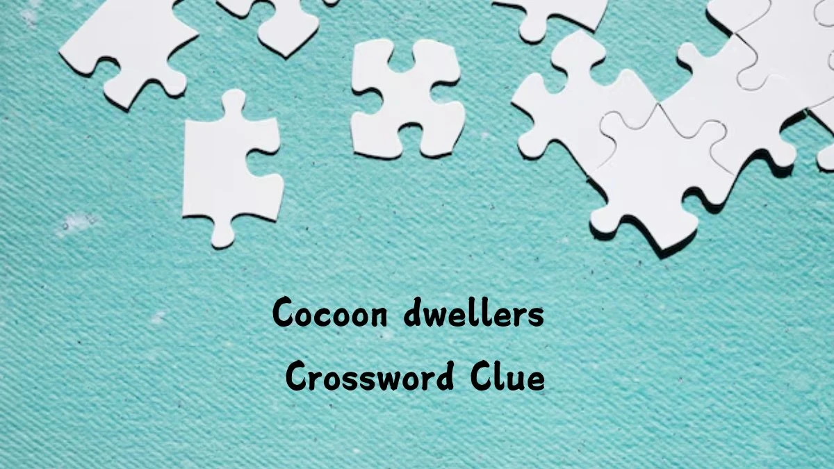 Cocoon dwellers NYT Crossword Clue Puzzle Answer from August 06, 2024