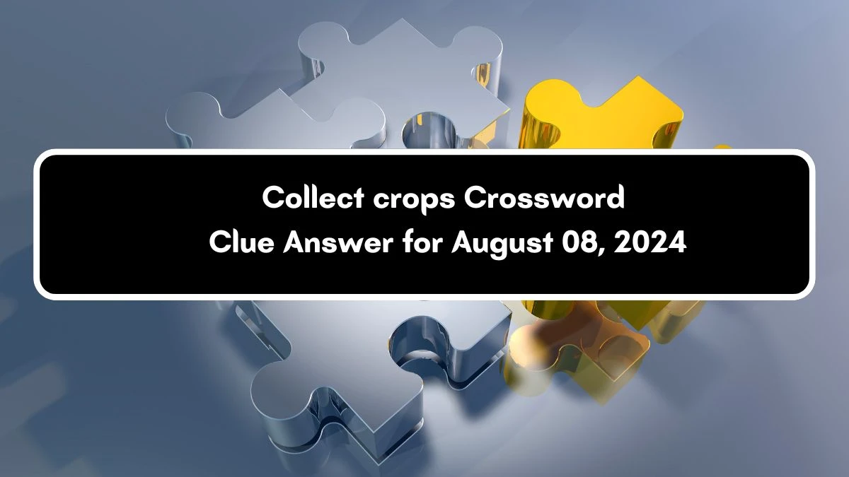 LA Times Collect crops Crossword Puzzle Answer from August 08, 2024