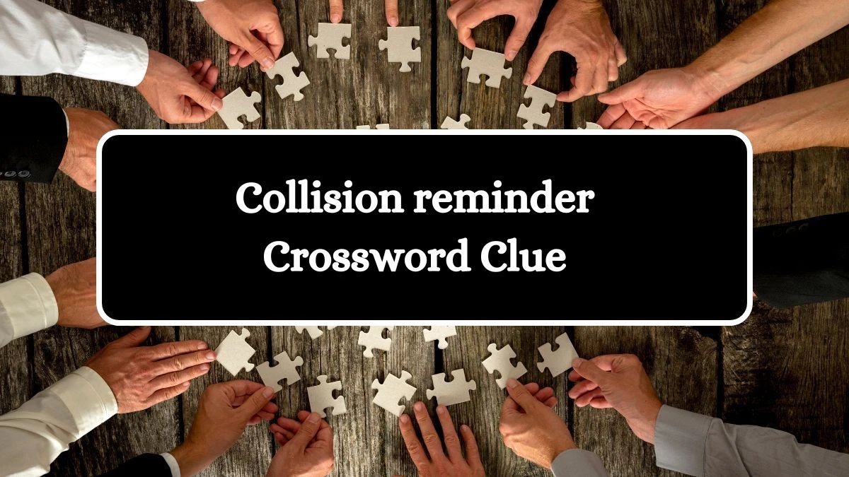 LA Times Collision reminder Crossword Puzzle Answer from August 14, 2024