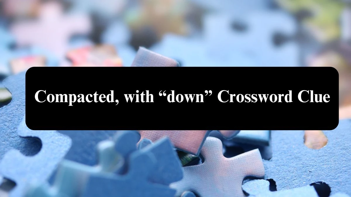 Compacted, with “down” NYT Crossword Clue Puzzle Answer on August 04, 2024