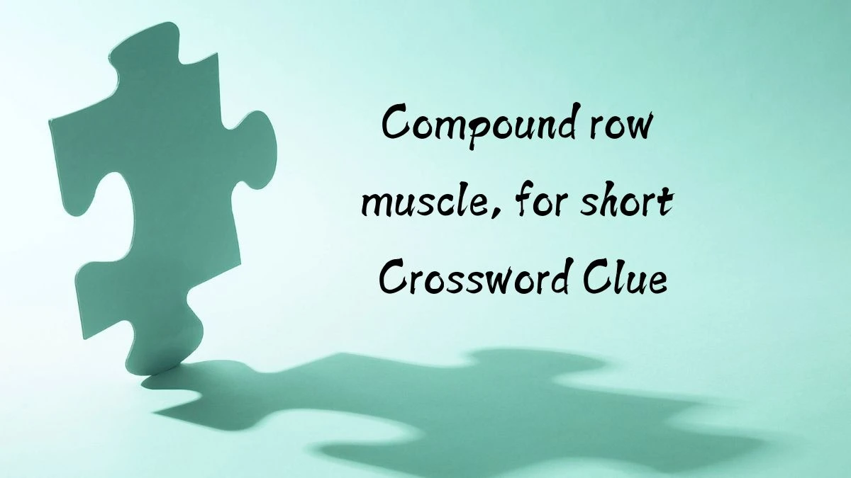 USA Today Compound row muscle, for short Crossword Clue Puzzle Answer from August 10, 2024