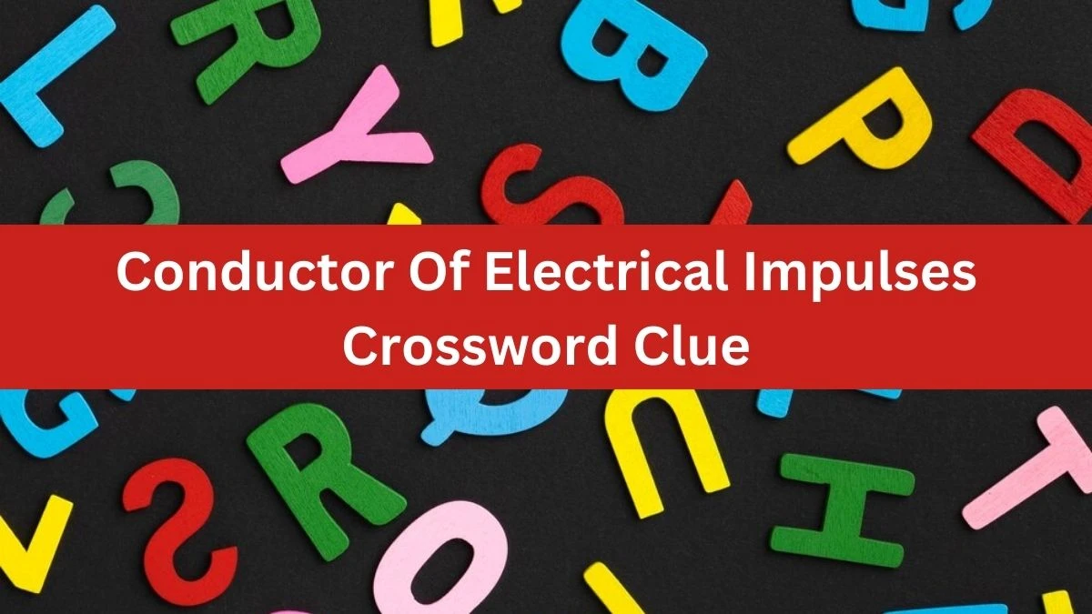 Conductor Of Electrical Impulses NYT Crossword Clue Puzzle Answer on August 29, 2024